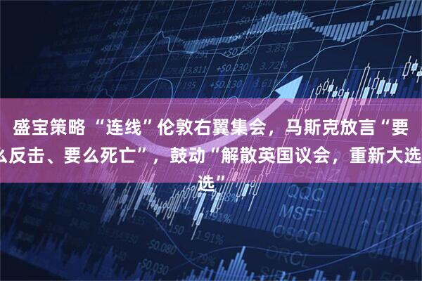 盛宝策略 “连线”伦敦右翼集会，马斯克放言“要么反击、要么死亡”，鼓动“解散英国议会，重新大选”