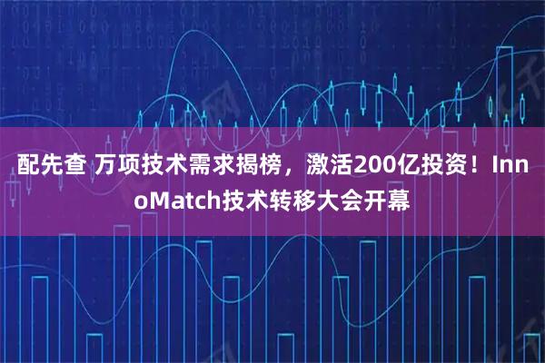 配先查 万项技术需求揭榜，激活200亿投资！InnoMatch技术转移大会开幕