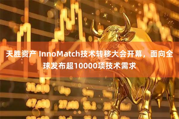 天胜资产 InnoMatch技术转移大会开幕，面向全球发布超10000项技术需求