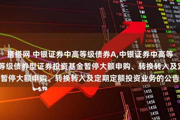 搭搭网 中银证券中高等级债券A,中银证券中高等级债券C: 中银证券中高等级债券型证券投资基金暂停大额申购、转换转入及定期定额投资业务的公告