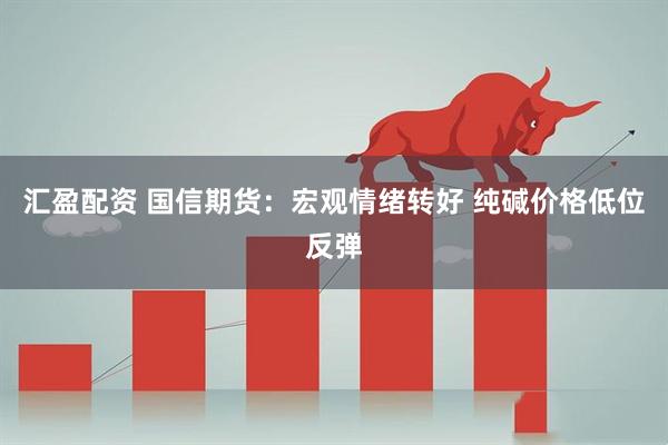 汇盈配资 国信期货：宏观情绪转好 纯碱价格低位反弹
