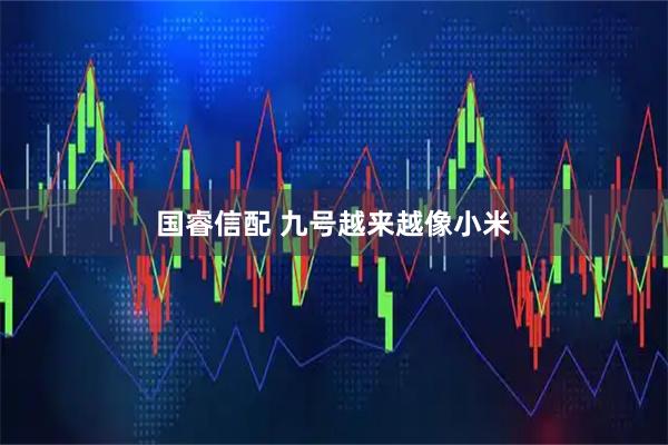 国睿信配 九号越来越像小米