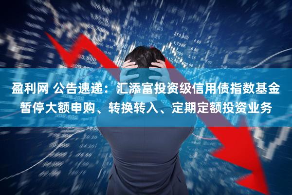 盈利网 公告速递：汇添富投资级信用债指数基金暂停大额申购、转换转入、定期定额投资业务