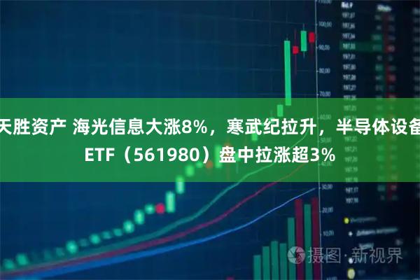 天胜资产 海光信息大涨8%，寒武纪拉升，半导体设备ETF（561980）盘中拉涨超3%