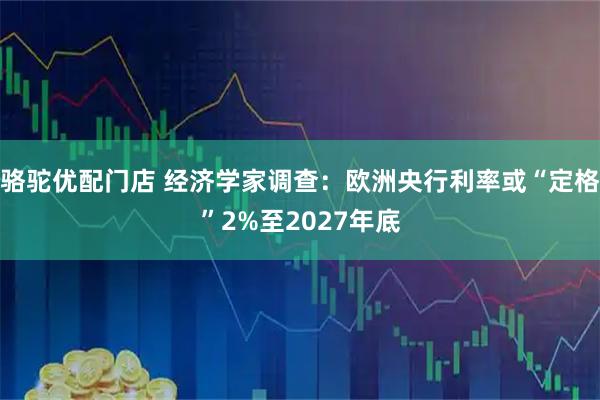 骆驼优配门店 经济学家调查：欧洲央行利率或“定格”2%至2027年底
